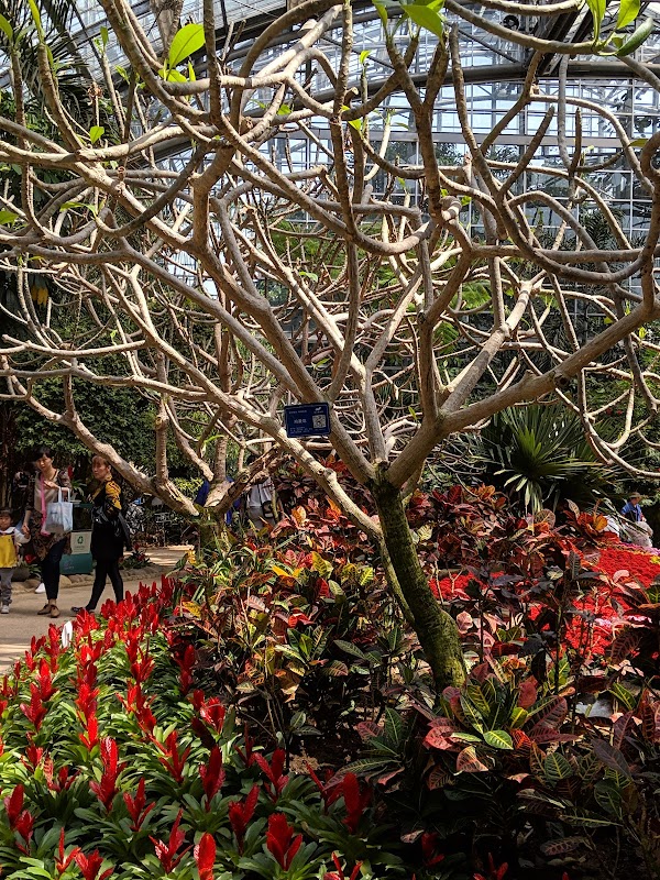 Chongqing Nanshan Botanical Garden （North Gate） 3