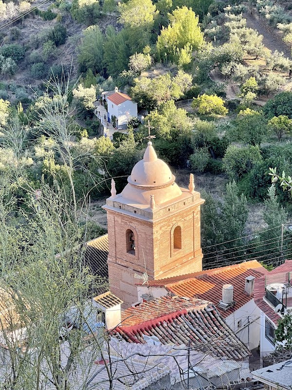 Houses the Picachico