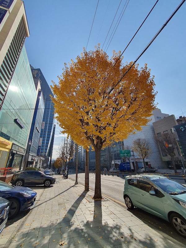Yeoksam-dong 5