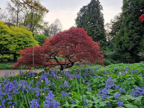 Botanical Gardens 2