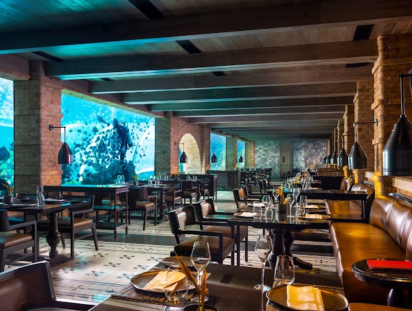 Koral: Bali’s First Aquarium Restaurant 1
