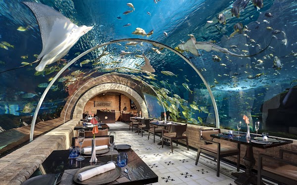 Koral: Bali’s First Aquarium Restaurant 3