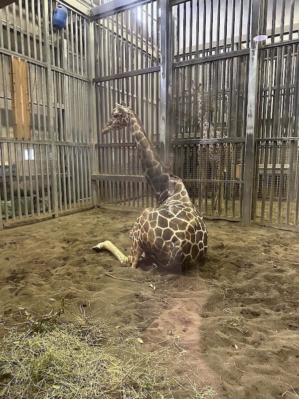 Sapporo City Maruyama Zoo 3
