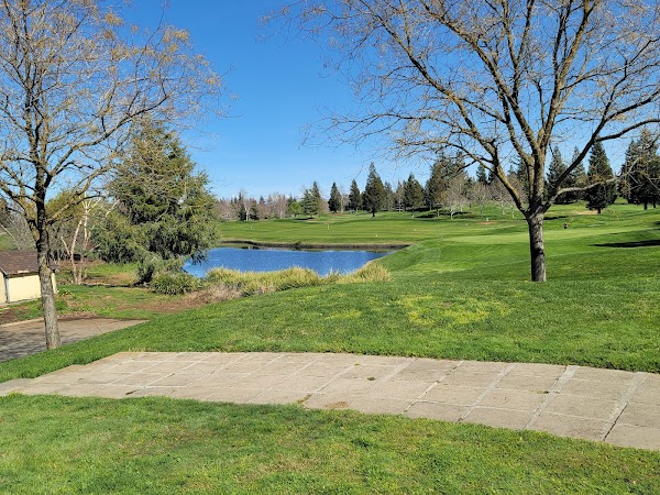 WildHawk Golf Club 4