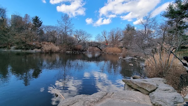 New York 39