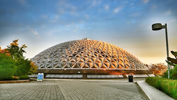 Queen Elizabeth Park 4