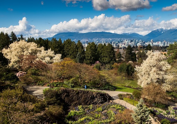 Queen Elizabeth Park 3