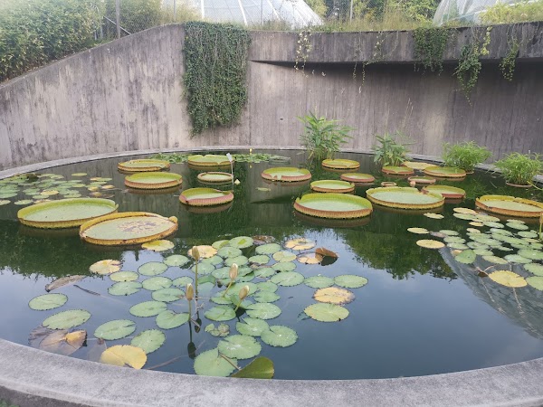 Botanical Garden 5