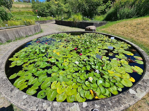 Botanical Garden 3