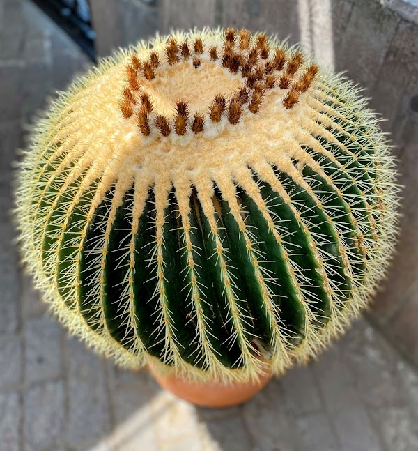 Botanical Garden 2
