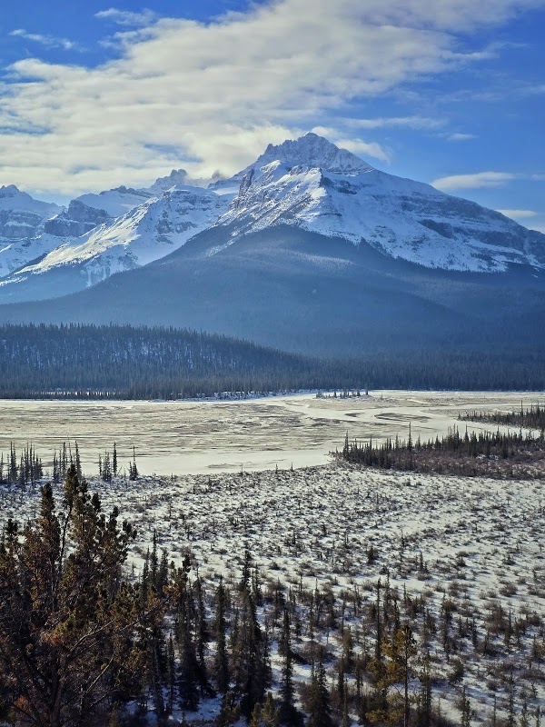 Howse Pass Viewpoint 1