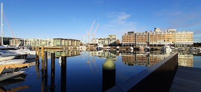 Viaduct Harbour