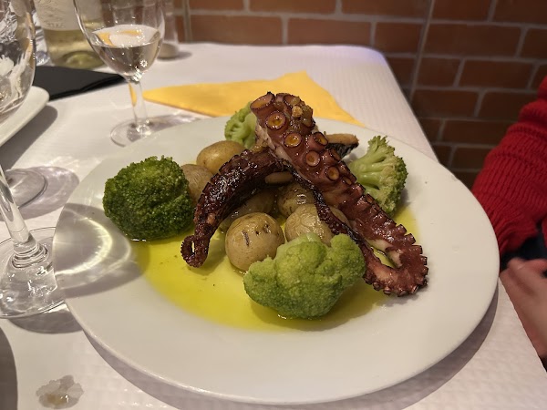 Adega Dom Luis 4