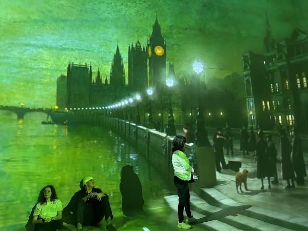 Frameless Immersive Art Experience 2