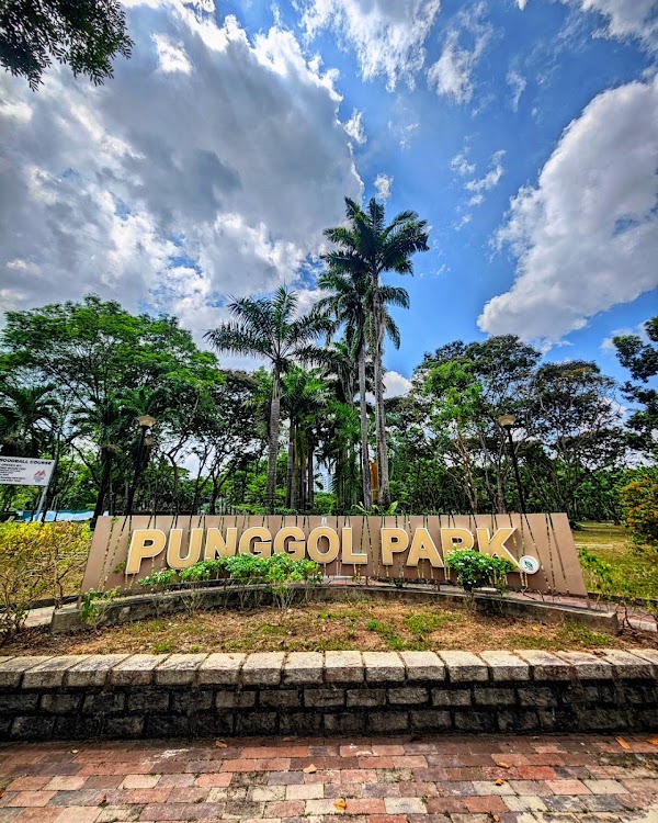 Punggol Park 5