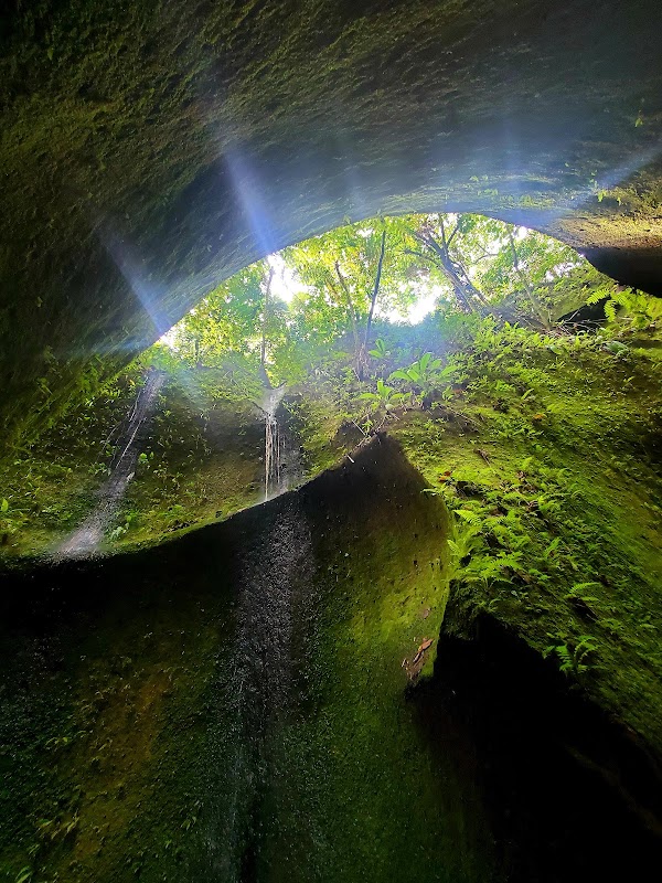Tutulari Avatar Gorge 4