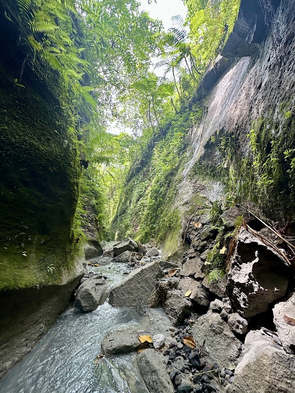 Tutulari Avatar Gorge 3