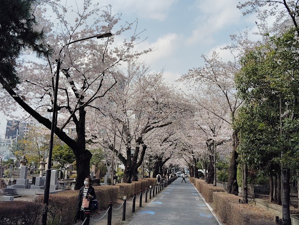 Aoyama Cemetery