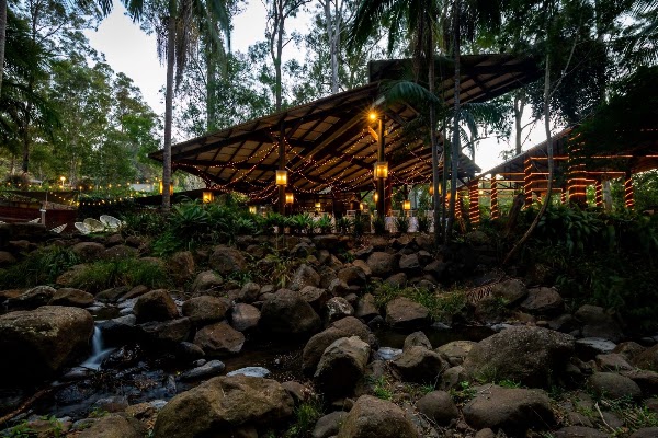 Tamborine Mountain Glades