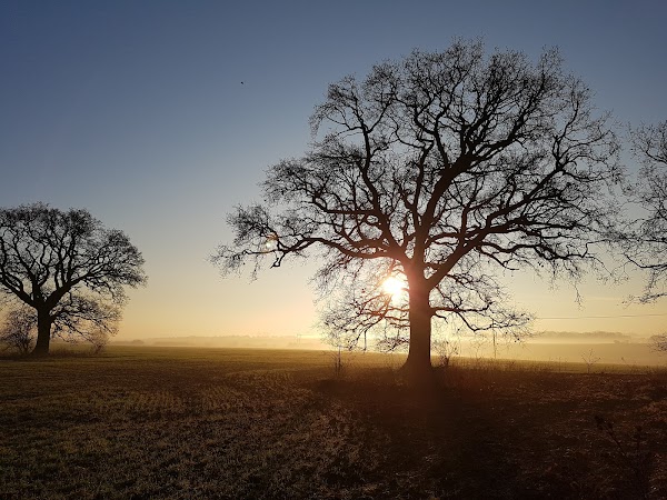 Honington