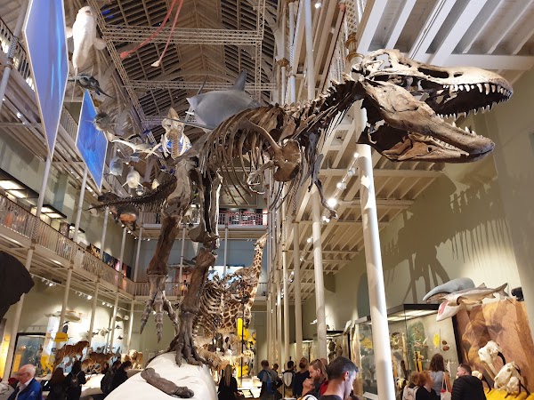 National Museum of Scotland 5
