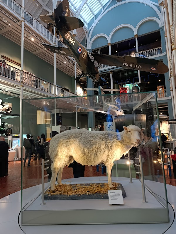 National Museum of Scotland 4