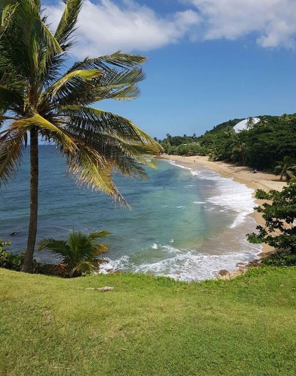 Rincón 5