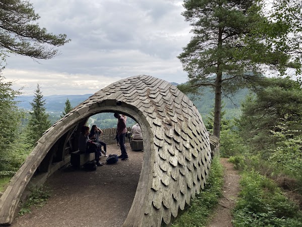 Pine Cone Point 1