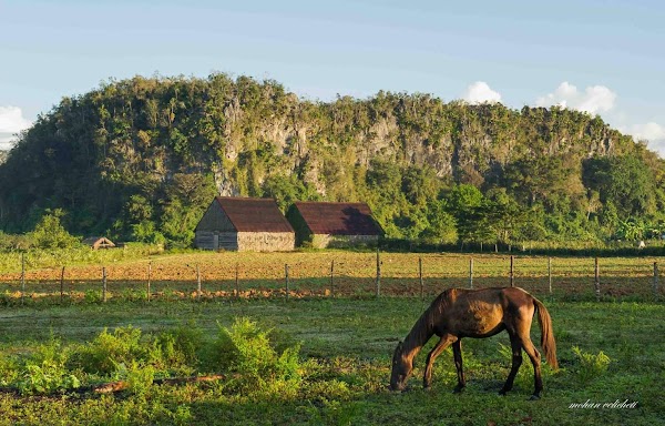 Vinales 3