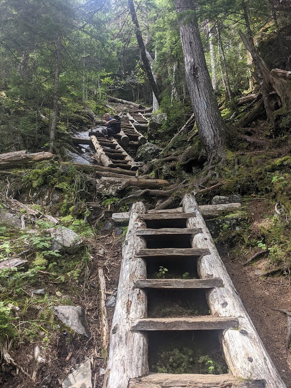 Mount Willey 5