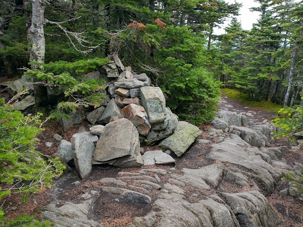 Mount Willey 4