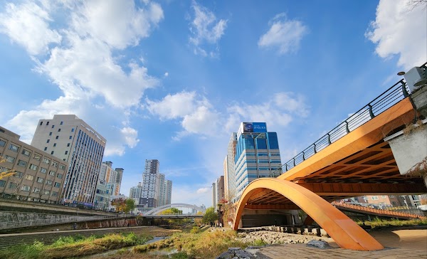 Cherry Blossom 🌸 24