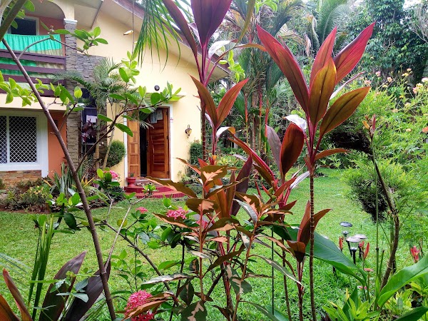 Camiguin Island 4