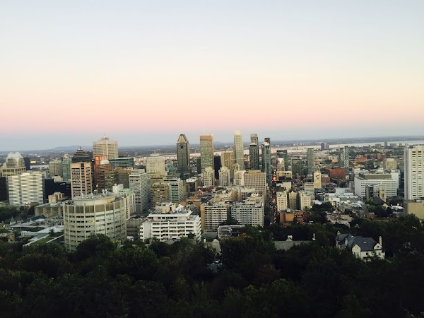 Mont-Royal Avenue East 4