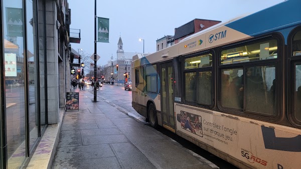Mont-Royal Avenue East 2