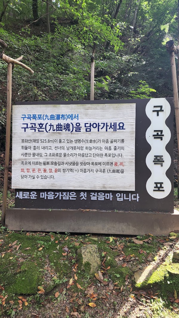 Gugok Falls 5
