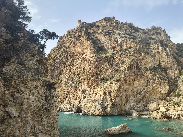 King's Bay 5