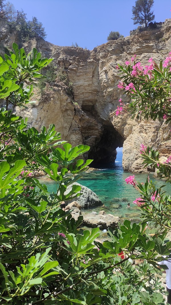 King's Bay 4