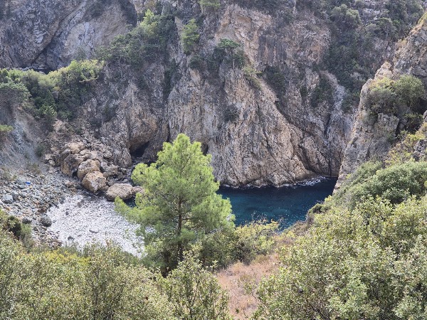 King's Bay 2