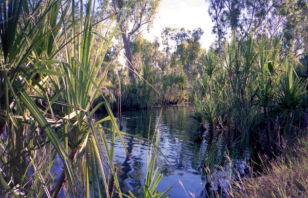 Derby-Gibb River Road