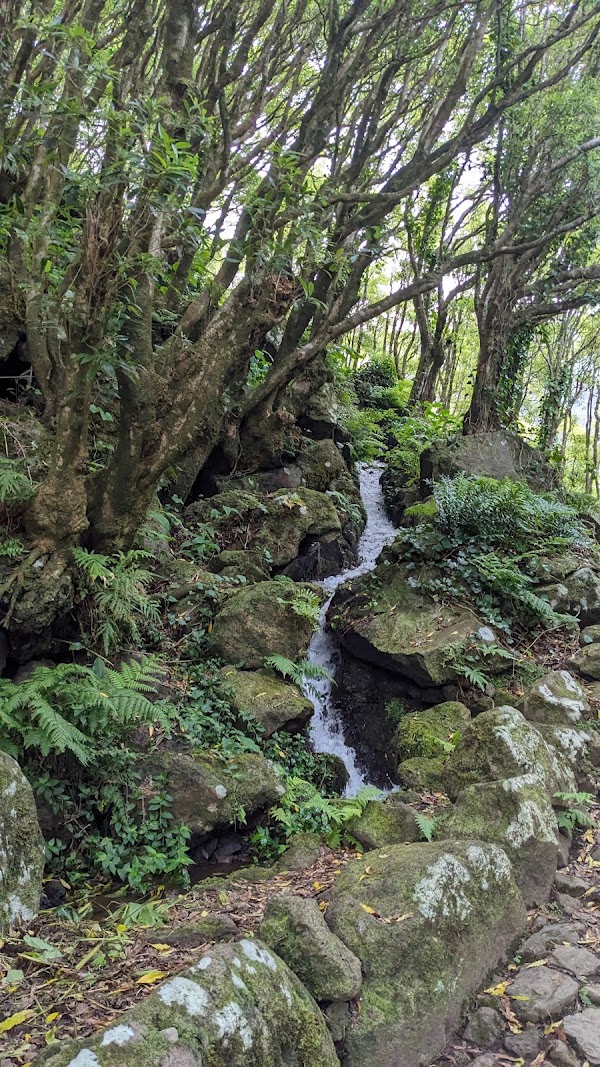 Poço da Ribeira do Ferreiro 5