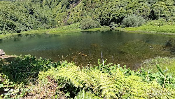 Poço da Ribeira do Ferreiro 3