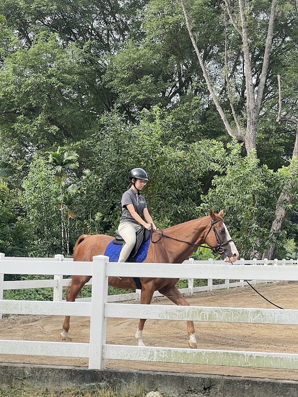 Gallop.sg