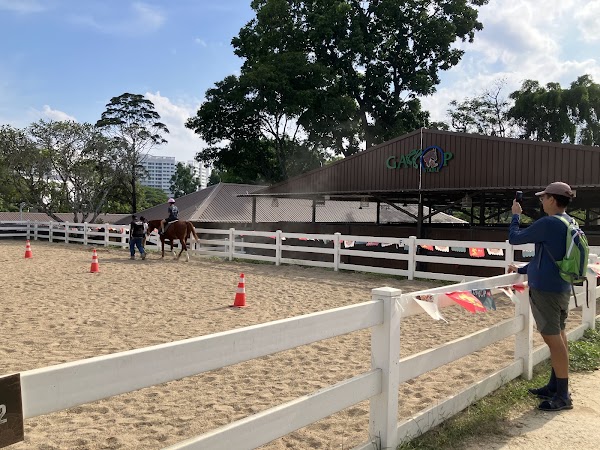 Gallop.sg 3