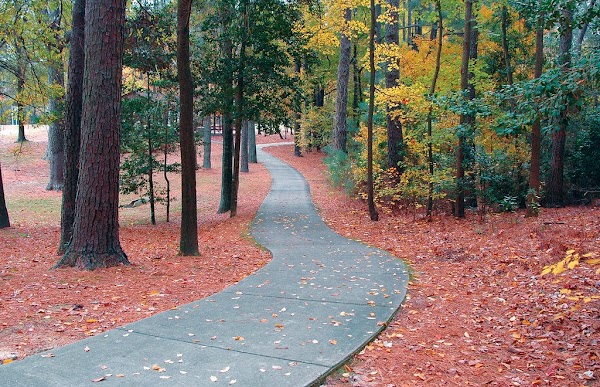 Great Neck Park & Indoor Pavilion 1