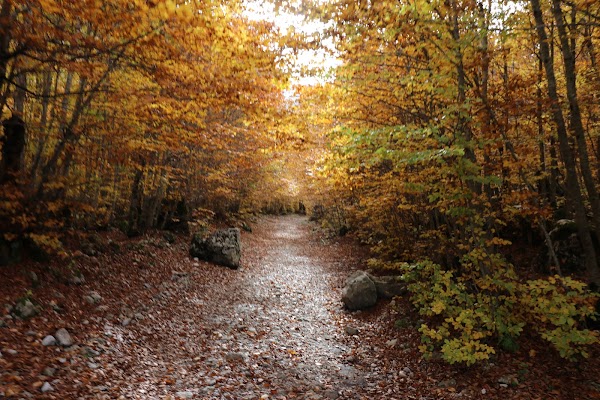 Grebaje Valley 2
