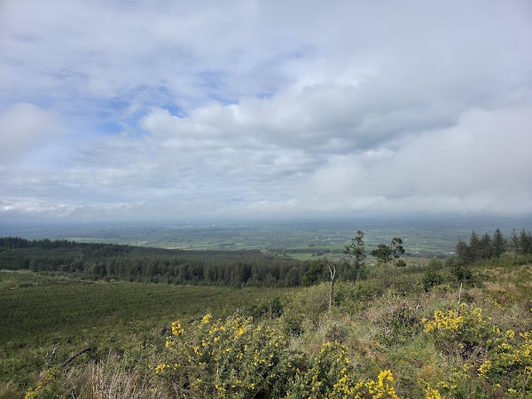 Ballyhoura Forest Recreational Area