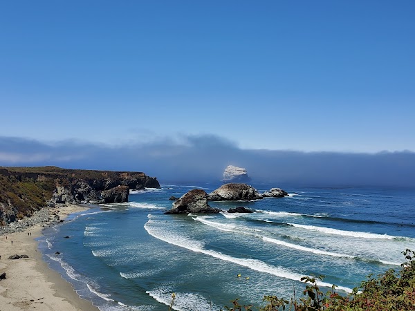 Sand Dollar Beach