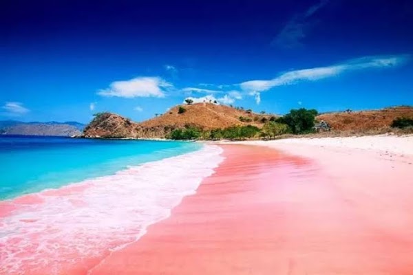 Pink Beach 1