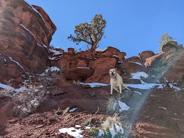 Fisher Towers 5